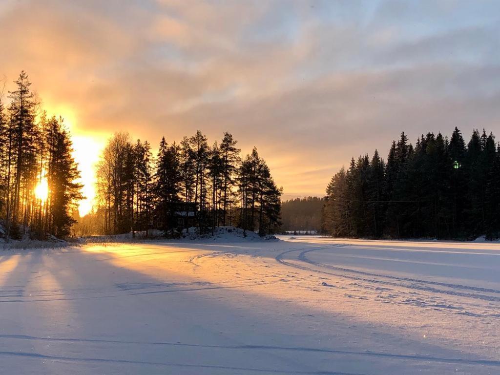 Farmholiday Kumpunen Petäjävesi Kültér fotó